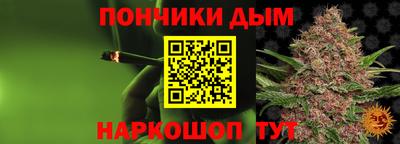 дмт Гатчина