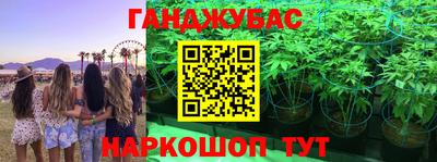ГАЛЛЮЦИНОГЕННЫЕ ГРИБЫ Гай