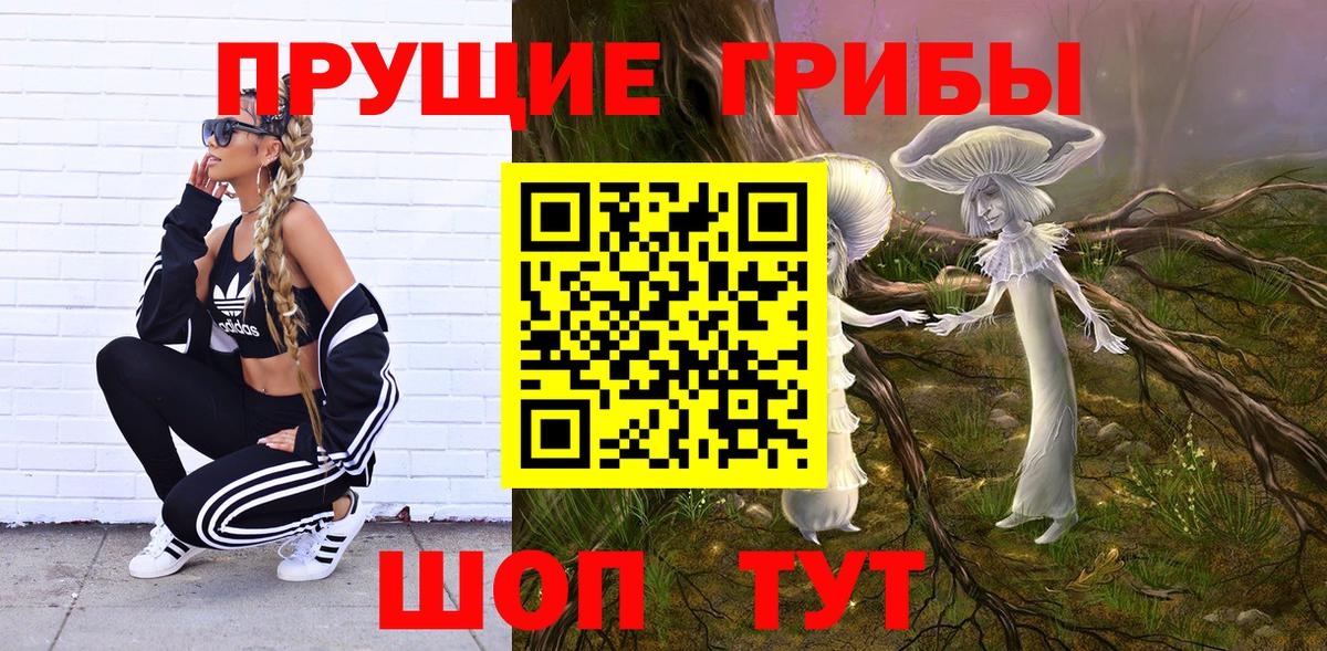 Псилоцибиновые грибы GOLDEN TEACHER  Вход с VPN  Егорьевск 