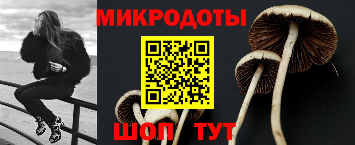 Псилоцибиновые грибы MAGIC MUSHROOMS Егорьевск
